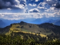 IMG_0959_4m_Sig_1200.jpg