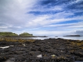 IMG_3647_2m_Sig_1200