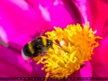 IMG_7704_2m_Sig_1200