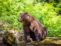 IMG_7401_2m_Sig_1200