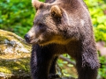IMG_7473_2m_Sig_1200