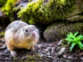IMG_5947_3m_Sig_1200
