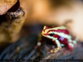 IMG_7979_3m_Sig_1200