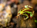 IMG_7992_3m_Sig_1200