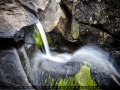 IMG_5223_2_Sig_1200