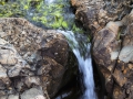 IMG_5257_2_Sig_1200