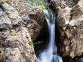 IMG_5267_2_Sig_1200